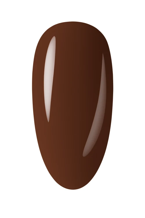 12051