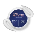 DIVNA PolyGel 02 15 g