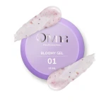 DIVNA Bloomy Gel 01 15 g / Żel Budujący