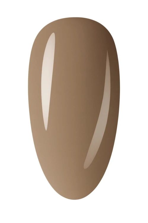 12045